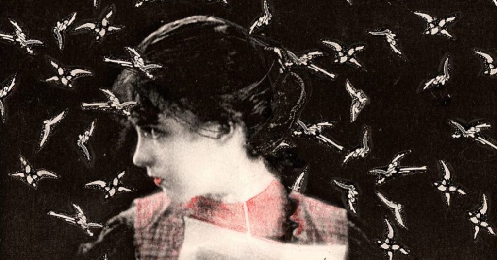 INJERTO 2019 en&nbsp;AMBULANTE