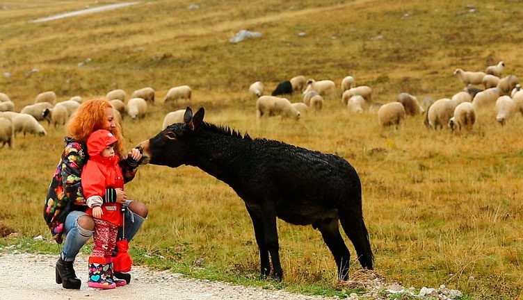 La-caotica-vida-de-Nada-752x432