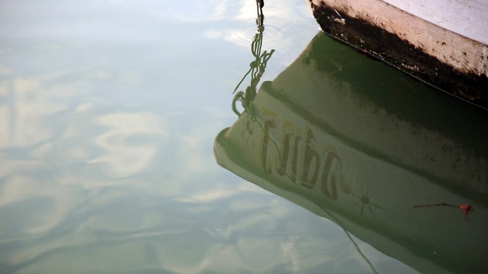 61569478_871278256543671_7788017047685824512_o