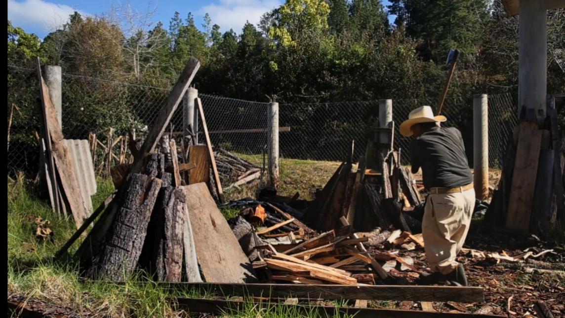 whatsapp_image_2020-05-13_at_18.29.04