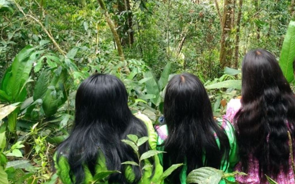 #DOQUMENTA2020: Biabu Chupea, un grito en el&nbsp;cielo.