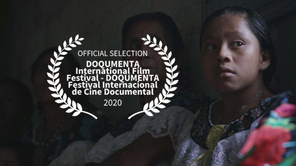 #DOQUMENTA2020: Las flores que&nbsp;arrancas.