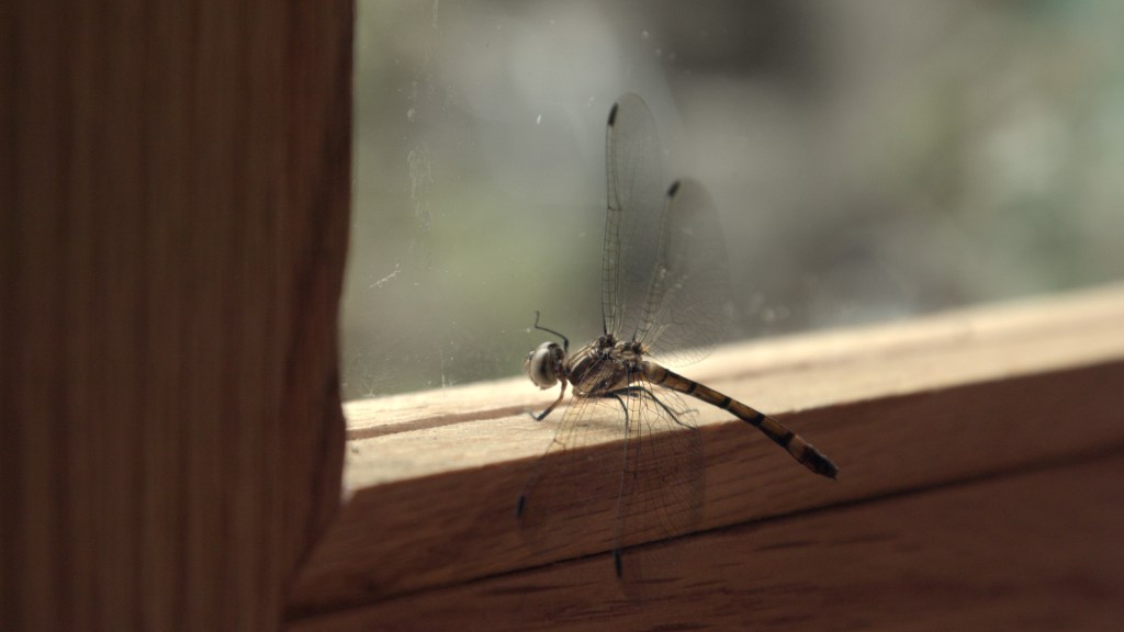 #FICM2020: Fragmentos