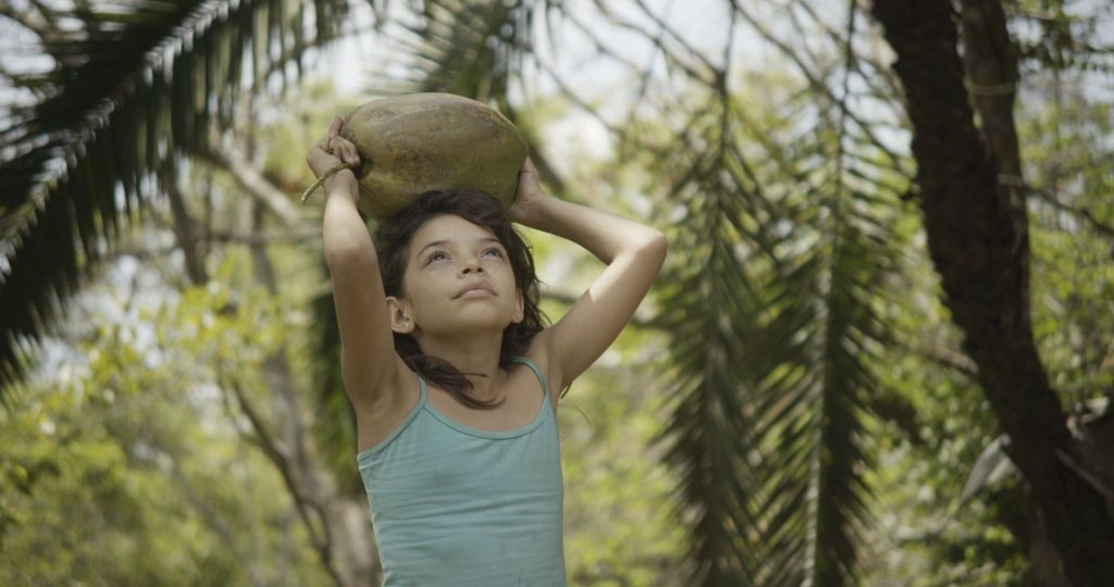 Review #BLACKCANVAS2020: Sol del&nbsp;llano