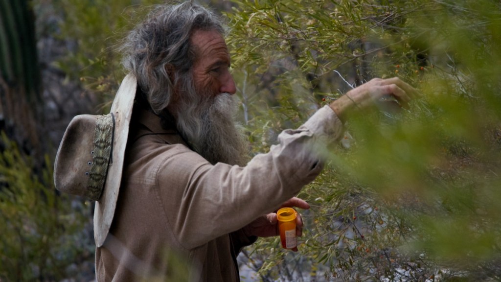 Film Diary #FICUNAM11: Las cosas que&nbsp;vendrán