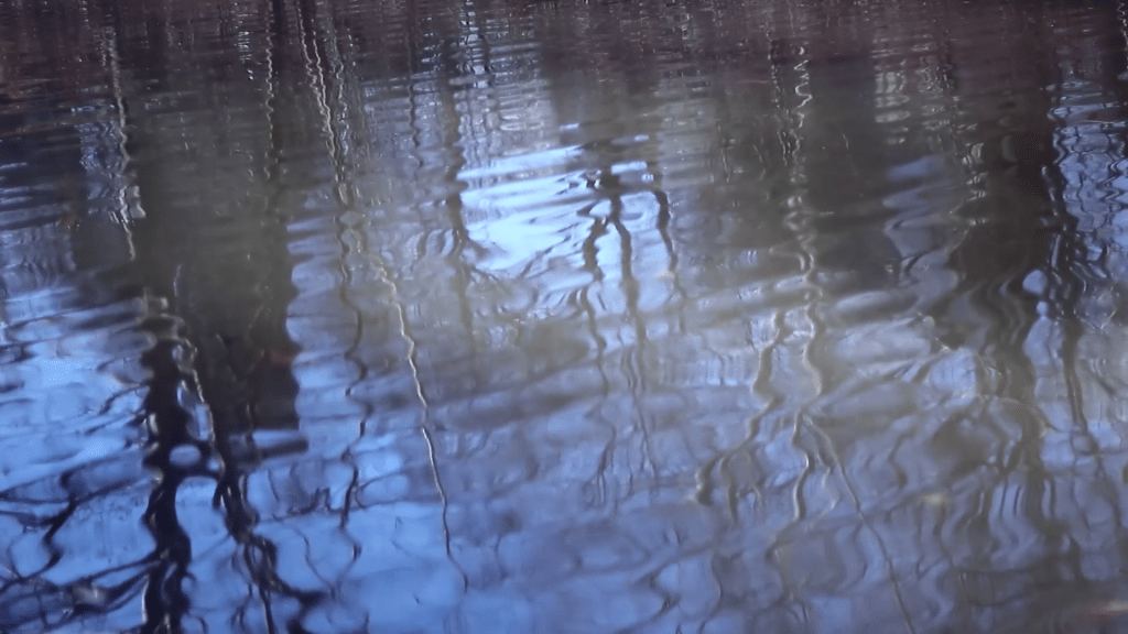 Film Review: La niebla: ceguera de la incertidumbre por amar, soñar y ser&nbsp;mujer