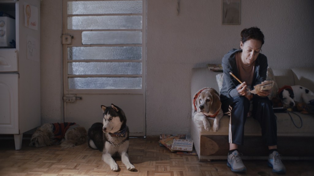 Film Diary #FICM2021: El camino de&nbsp;Sol