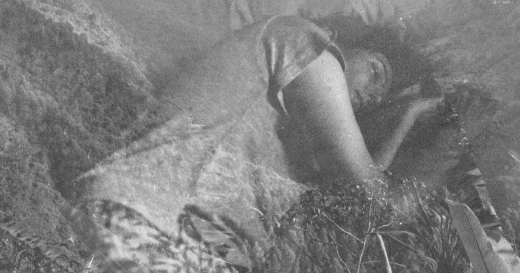 #FilmDiary FICM 2021: Viernes 29 de&nbsp;octubre